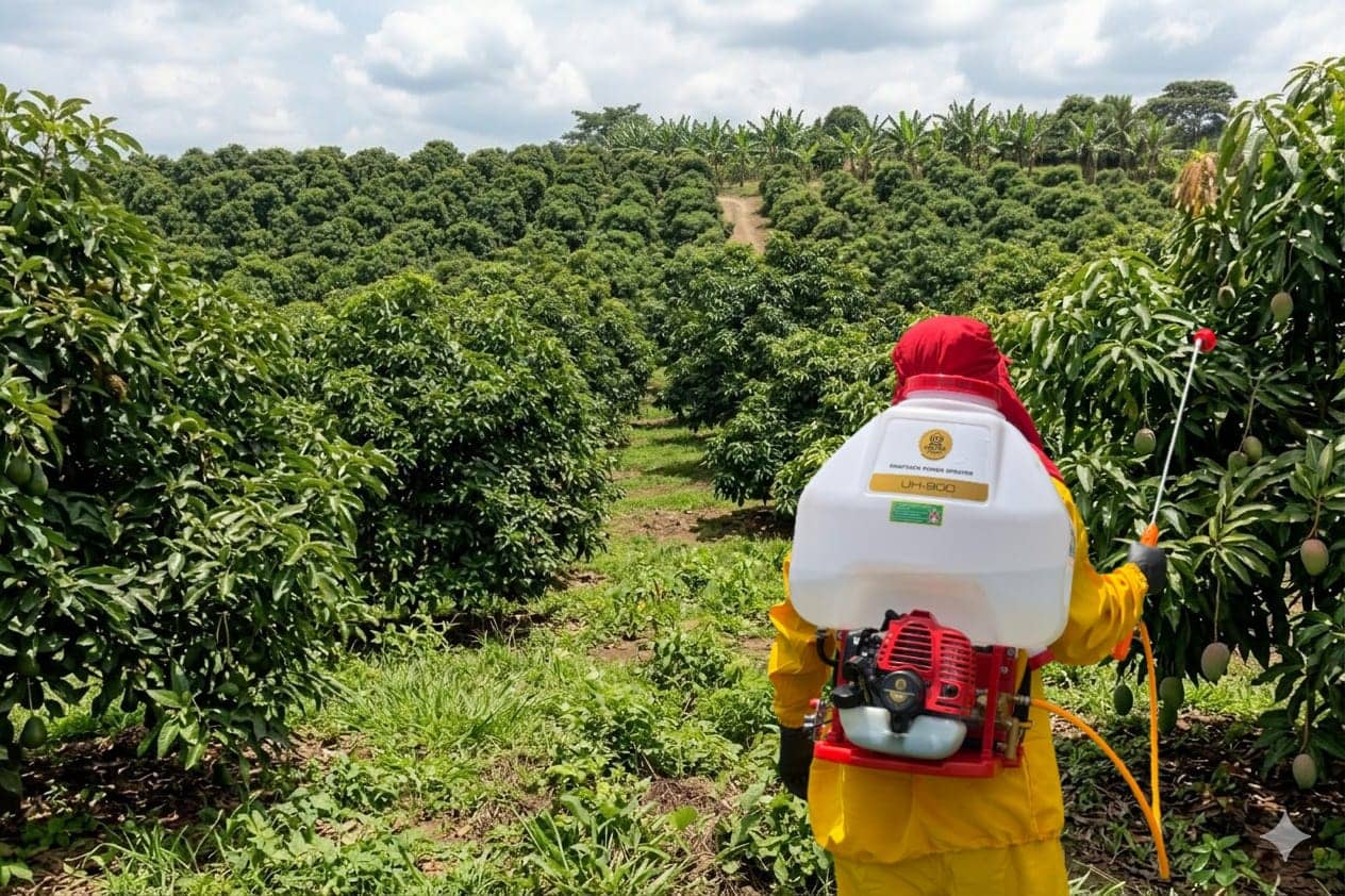 Fumigadoras de motor / Fumigadoras estacionarias y portátiles