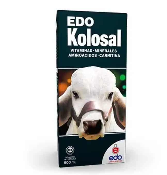 Edo Kolosal