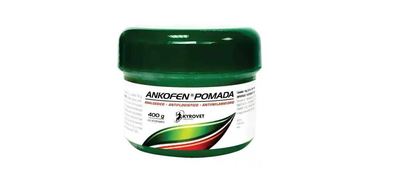 Antinflamatorio Ankofen Pomada