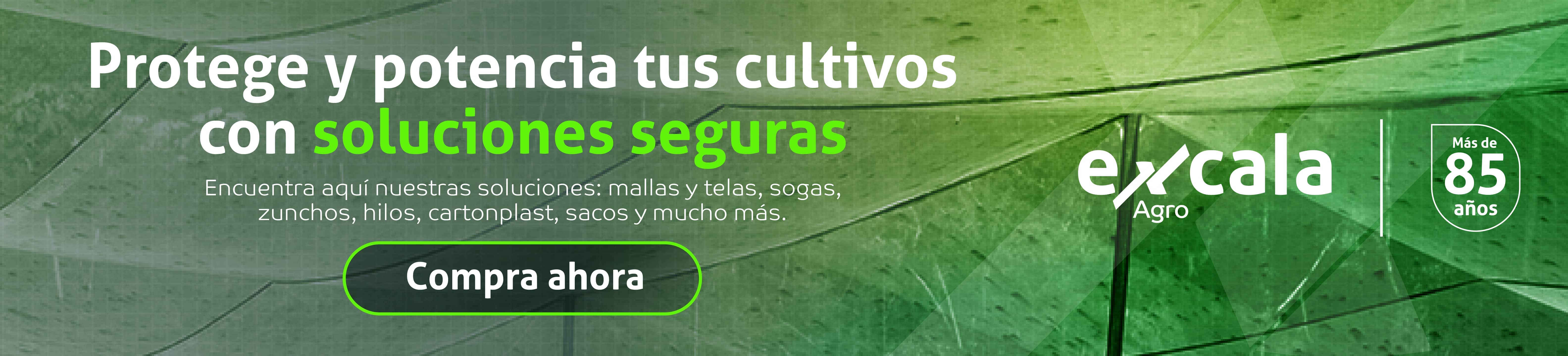 Grupo Excala