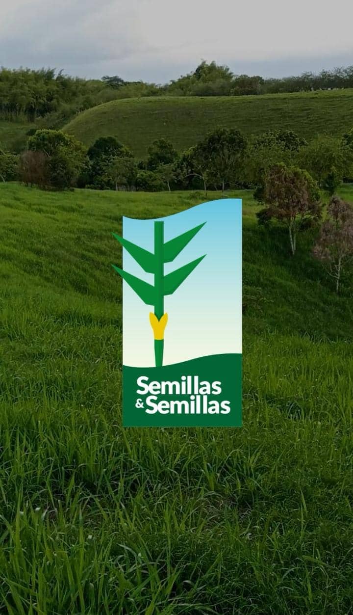 Semillas y Semillas