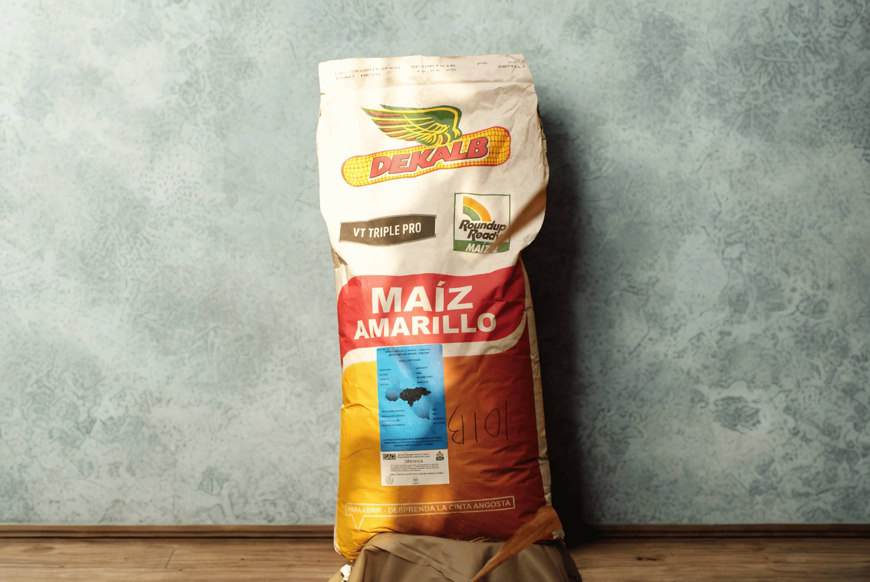 Semilla Maíz Amarillo DK 7088 RR | Alto Rendimiento