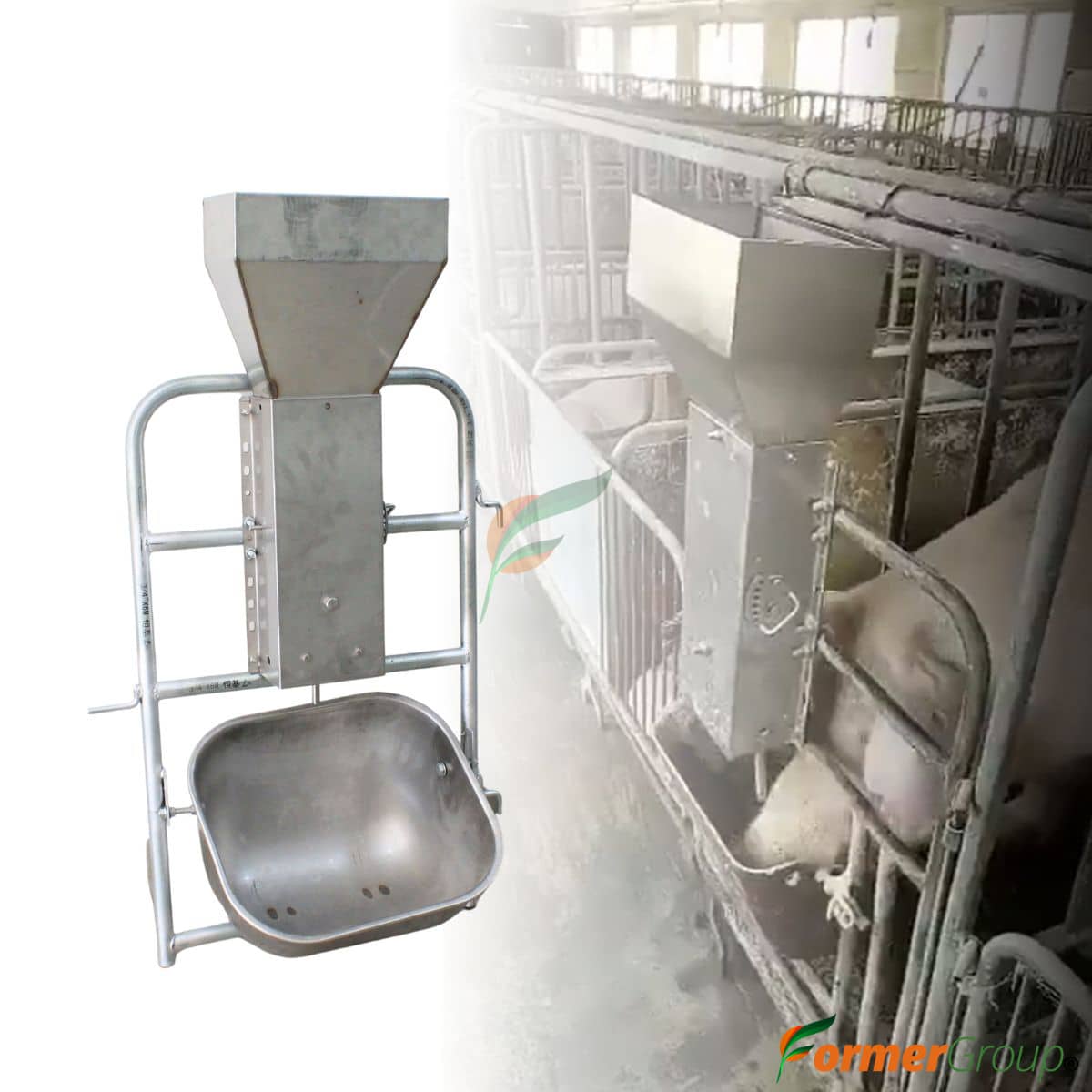 Dispensador Alimento Cerdas Acero | Jaula Paridera