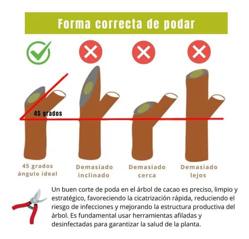 Tijeras Podadoras 9” Gavilán Corte Preciso Jardín | Croper