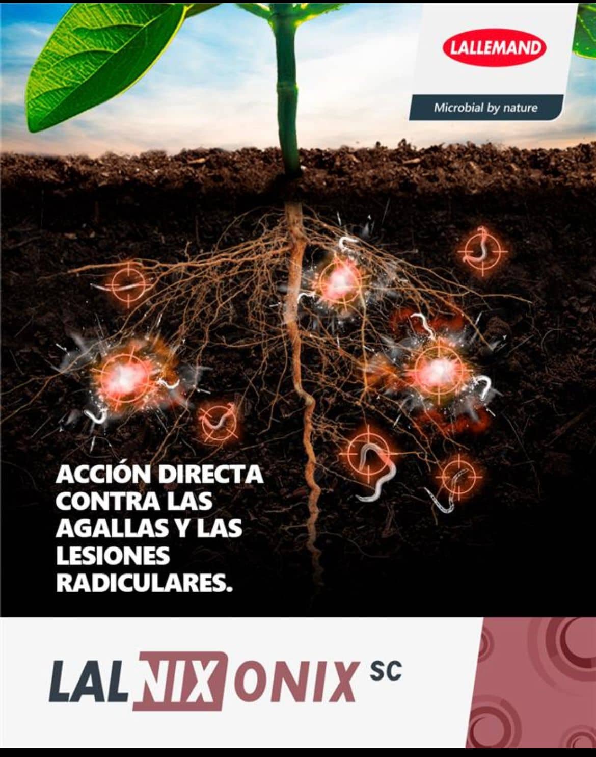 ONIX Bionematicida Bacillus Control Nematodos Colombia