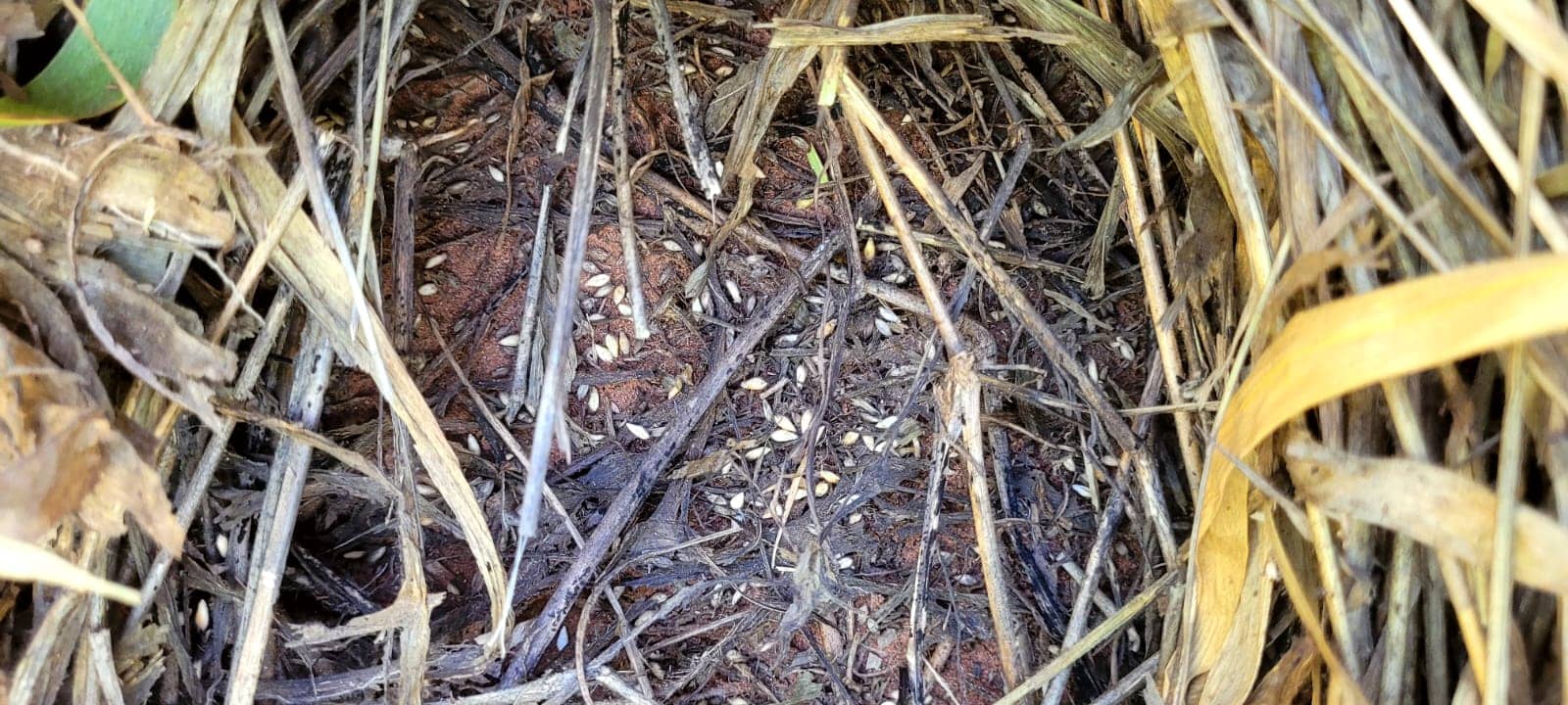 WhatsApp Image 2025-10-31 at 2.52.37 PM (1).jpeg