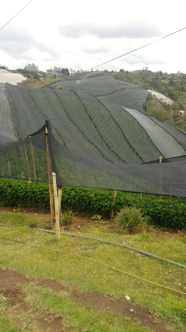 Polisombra para Cultivos y Jardines | Protección UV