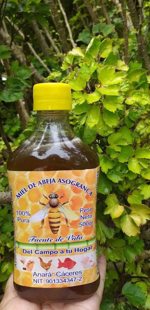Venta de miel de abeja Asogranca X 500 gr