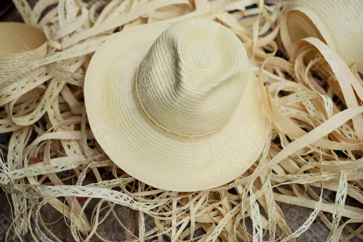 Sombrero de Pindo