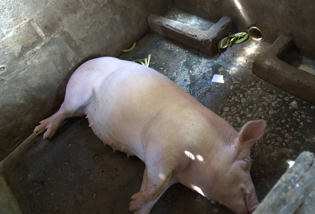 Captura de pantalla 2024-12-10 161130.png