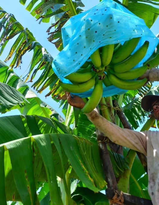 Captura de pantalla 2025-02-19 113928.png