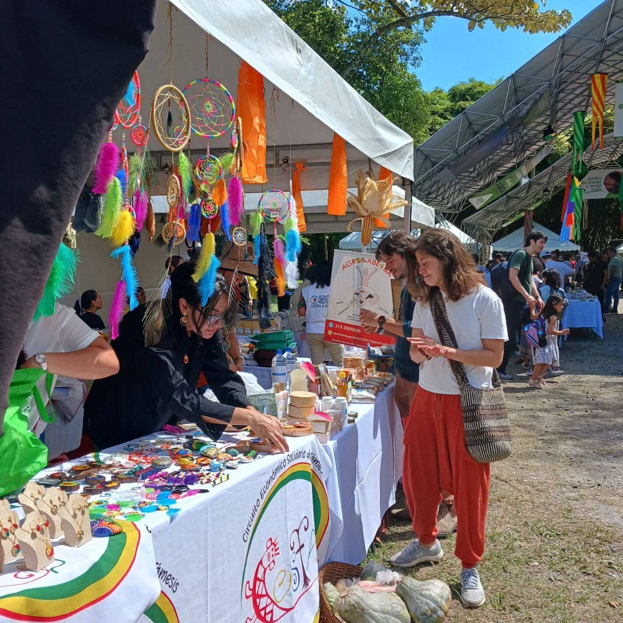 WhatsApp Image 2026-02-12 at 11.21.36 AM (3).jpeg