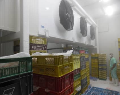 Túneles de enfriamiento para alimentos – Enfriamiento rápido IQF