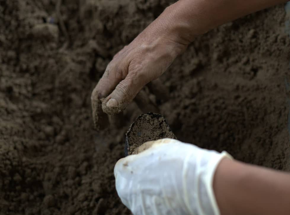 Captura de pantalla 2024-12-20 095925.png