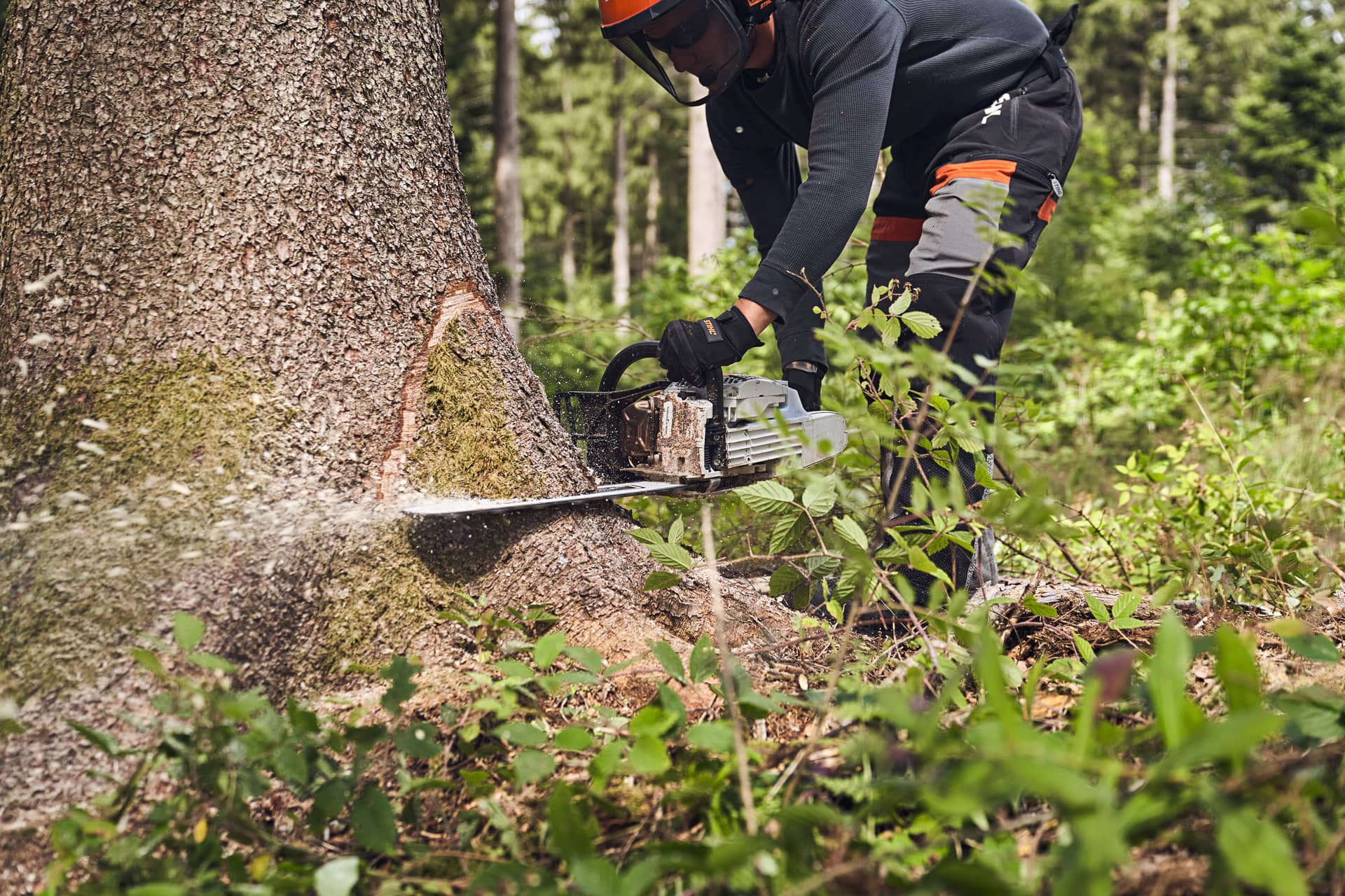 Motosierra de gasolina MS 363 STIHL