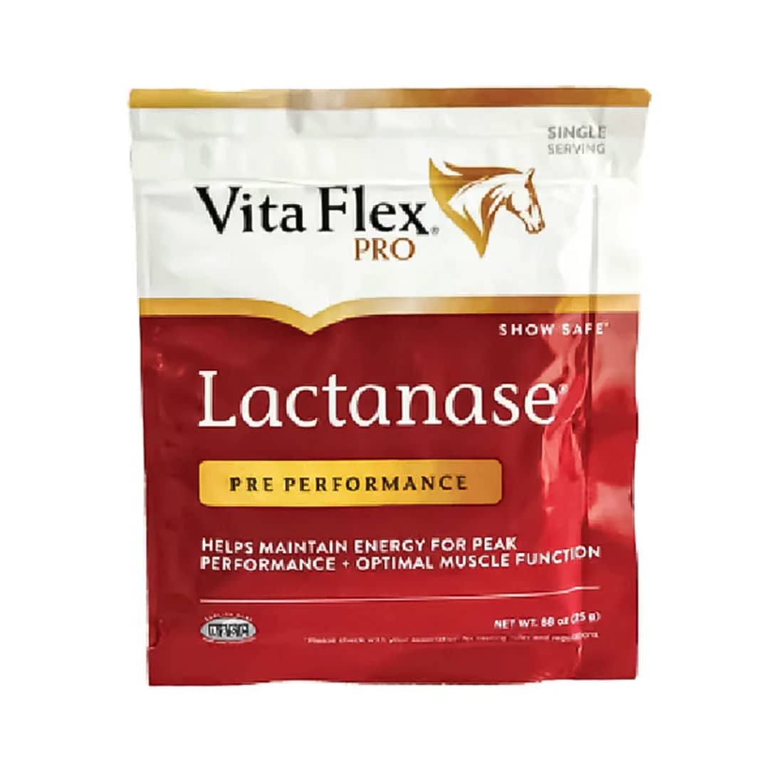 Lactanase suplemento equino contra fatiga y ácido láctico