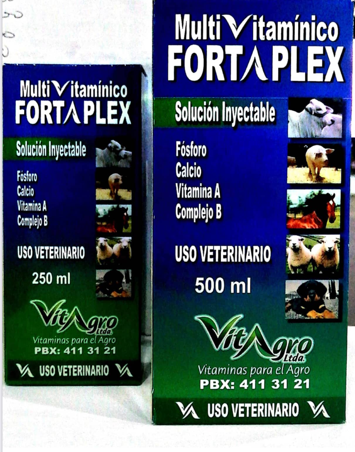 Multivitaminico Fortaplex x 500 Ml