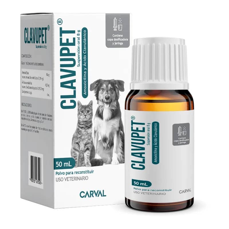 Clavupet 50 mL – Amoxicilina con Ácido Clavulánico para perros y gatos |Carval