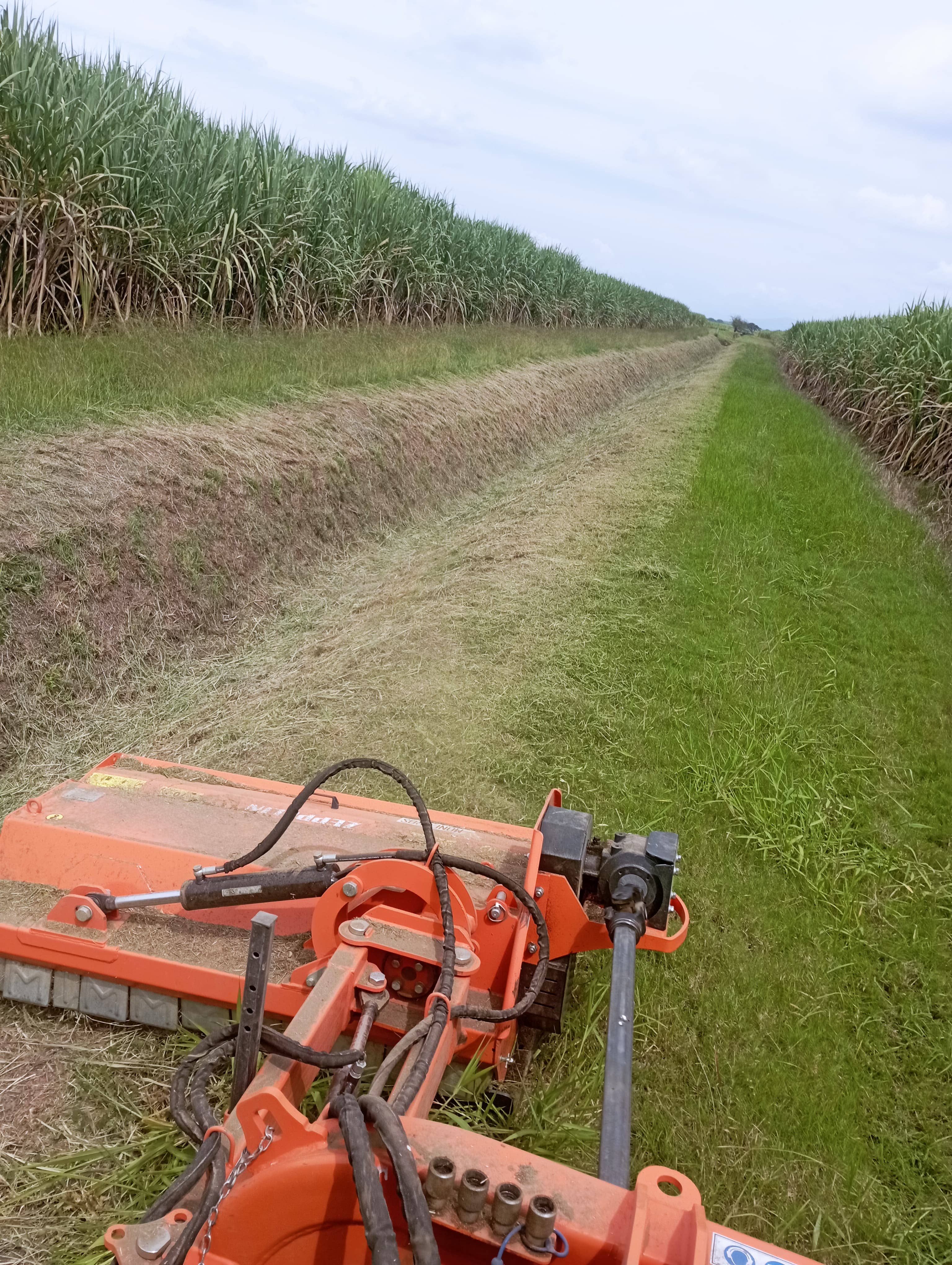 Desbrozadora Trituradora Multifunción 1600mm – Potente y eficaz para residuos