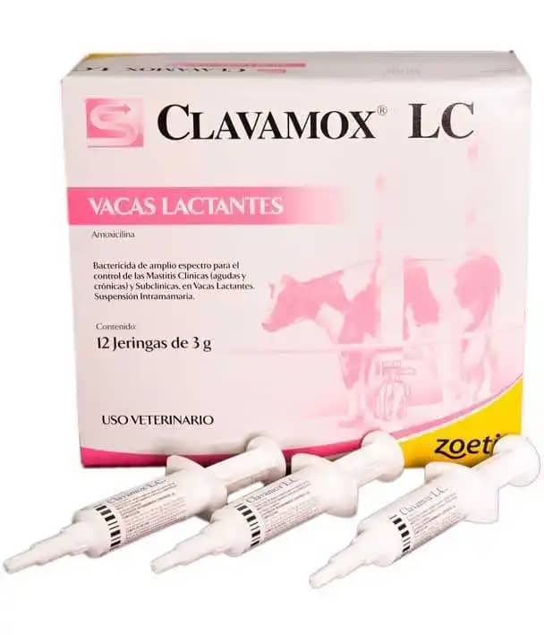Antibiótico Clavamox LC x 12 jeringas - Zoetis