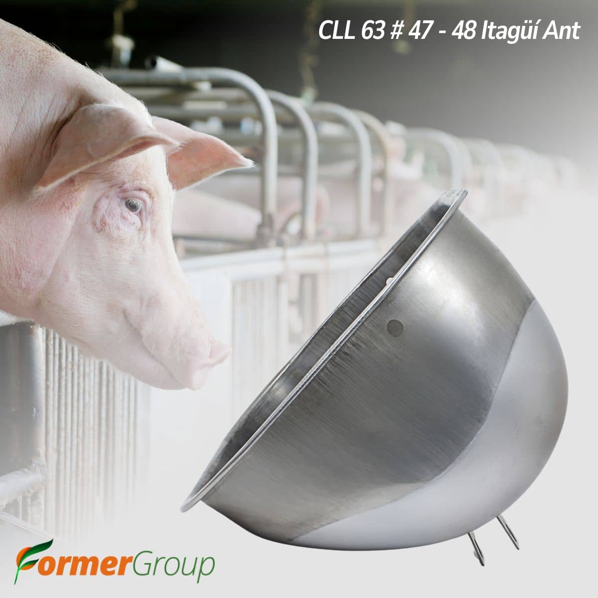 Comedero Jaula Gestación Para Cerdas