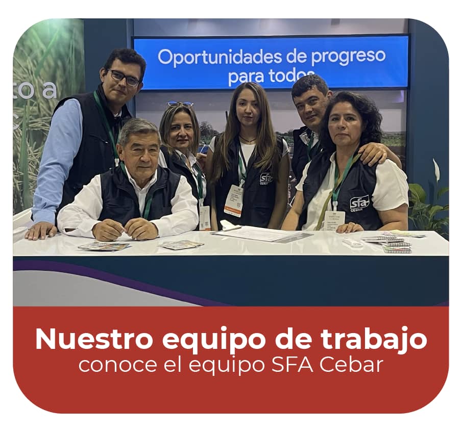 servicios-CEBAR-09.png