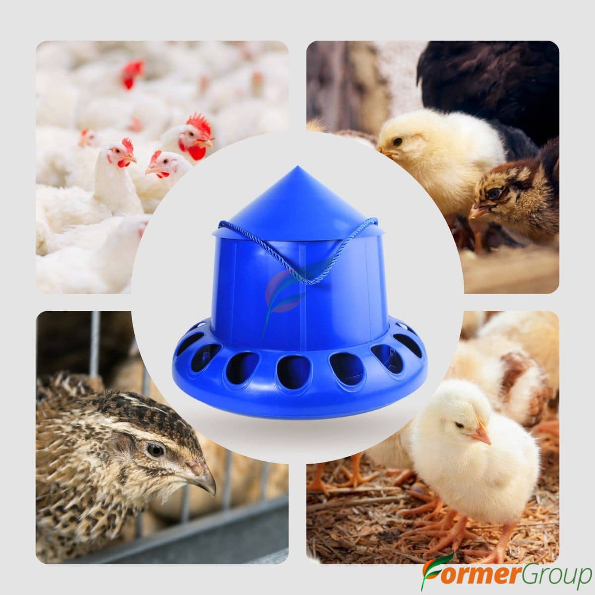 Comedero azul para aves 4 kg