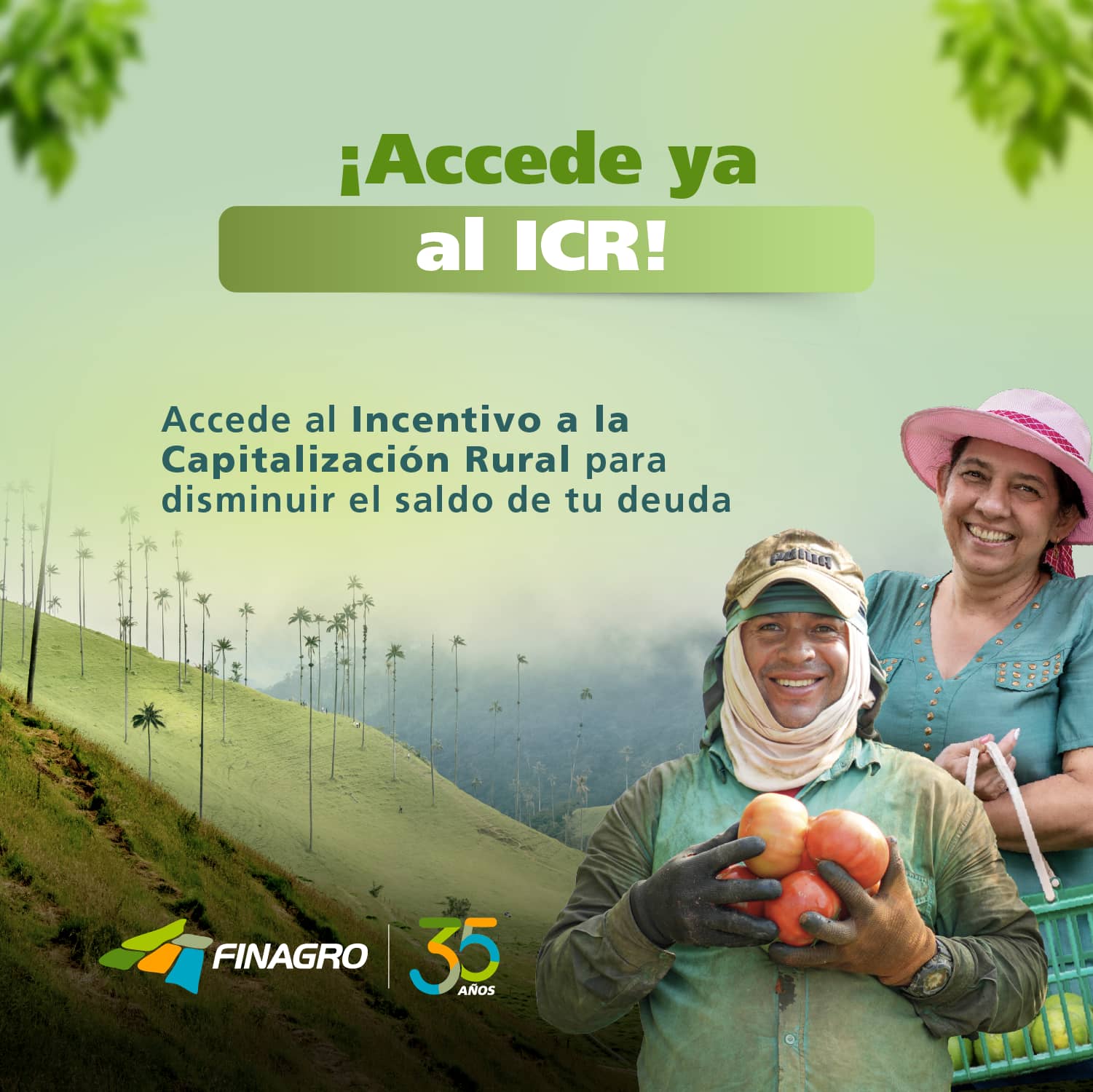Incentivo para la Capitalización Rural (ICR)