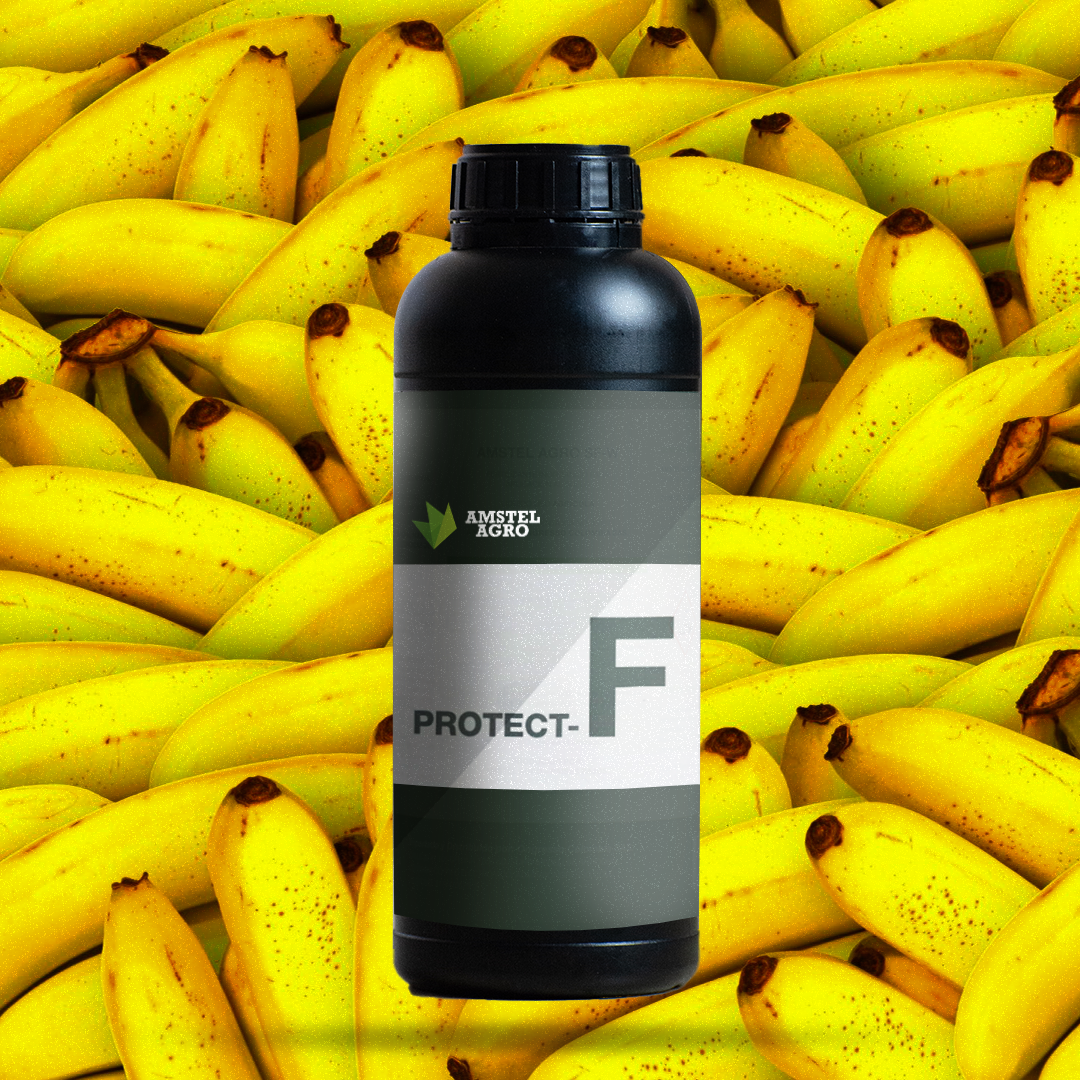 Fertilizante Protect-F 1 Litro