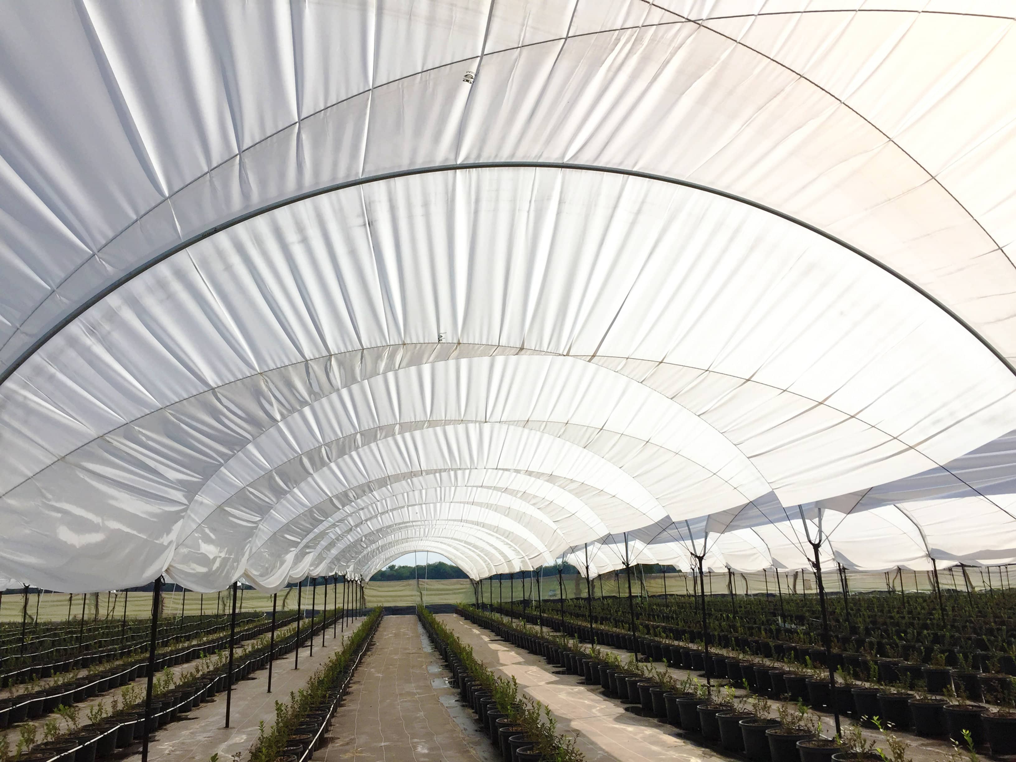 Plástico Agrofresh Lechoso | Luz Difusa y Frescura Agrícola