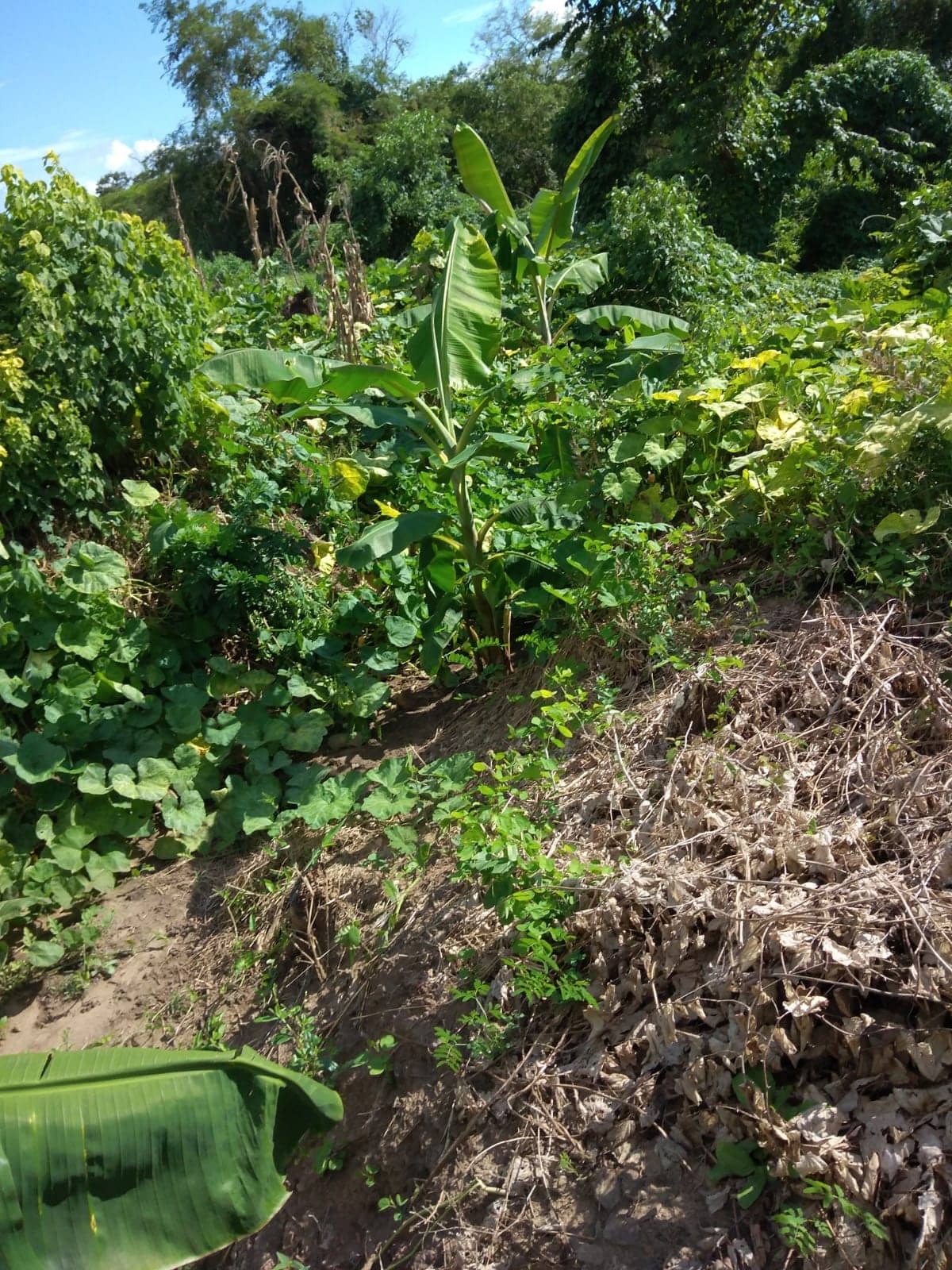 Imagen de WhatsApp 2025-02-21 a las 12.05.35_ae719ae7.jpg