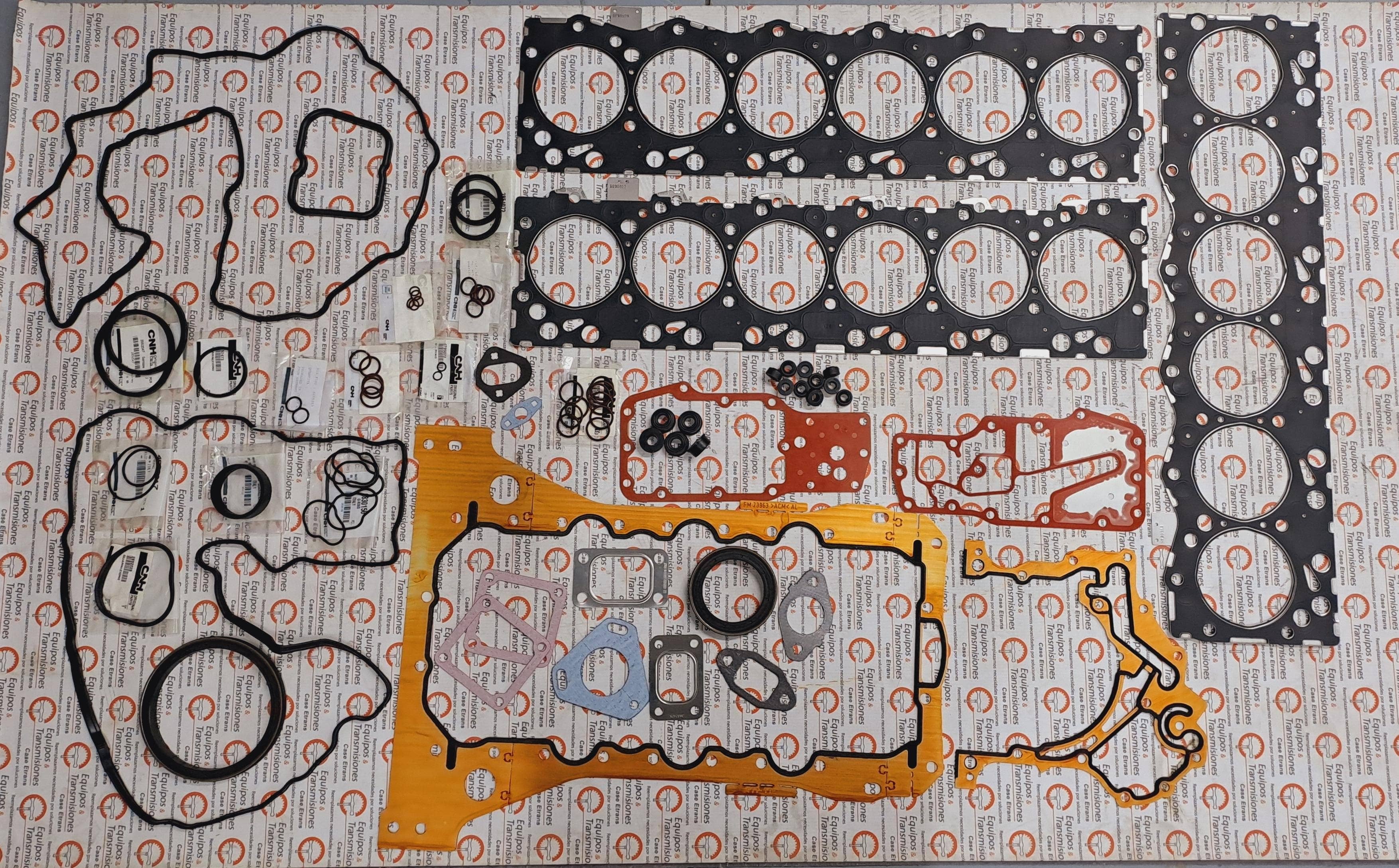 Juego de empaquetadura Motor CNH