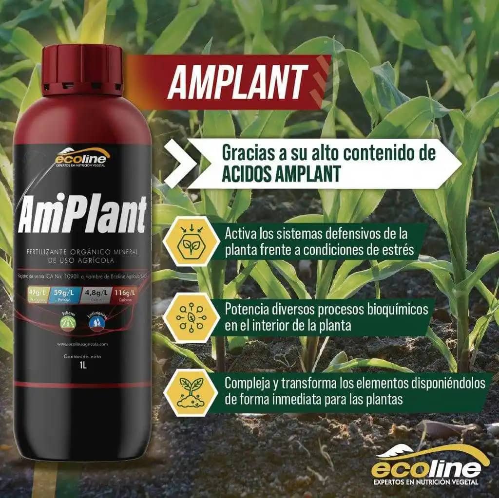 Fertilizante orgánico, mineral AMPLANT de uso agrícola.