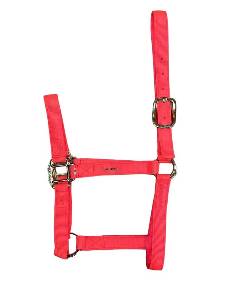 Jaquimón Reata para Potros de 6 a 15 Meses