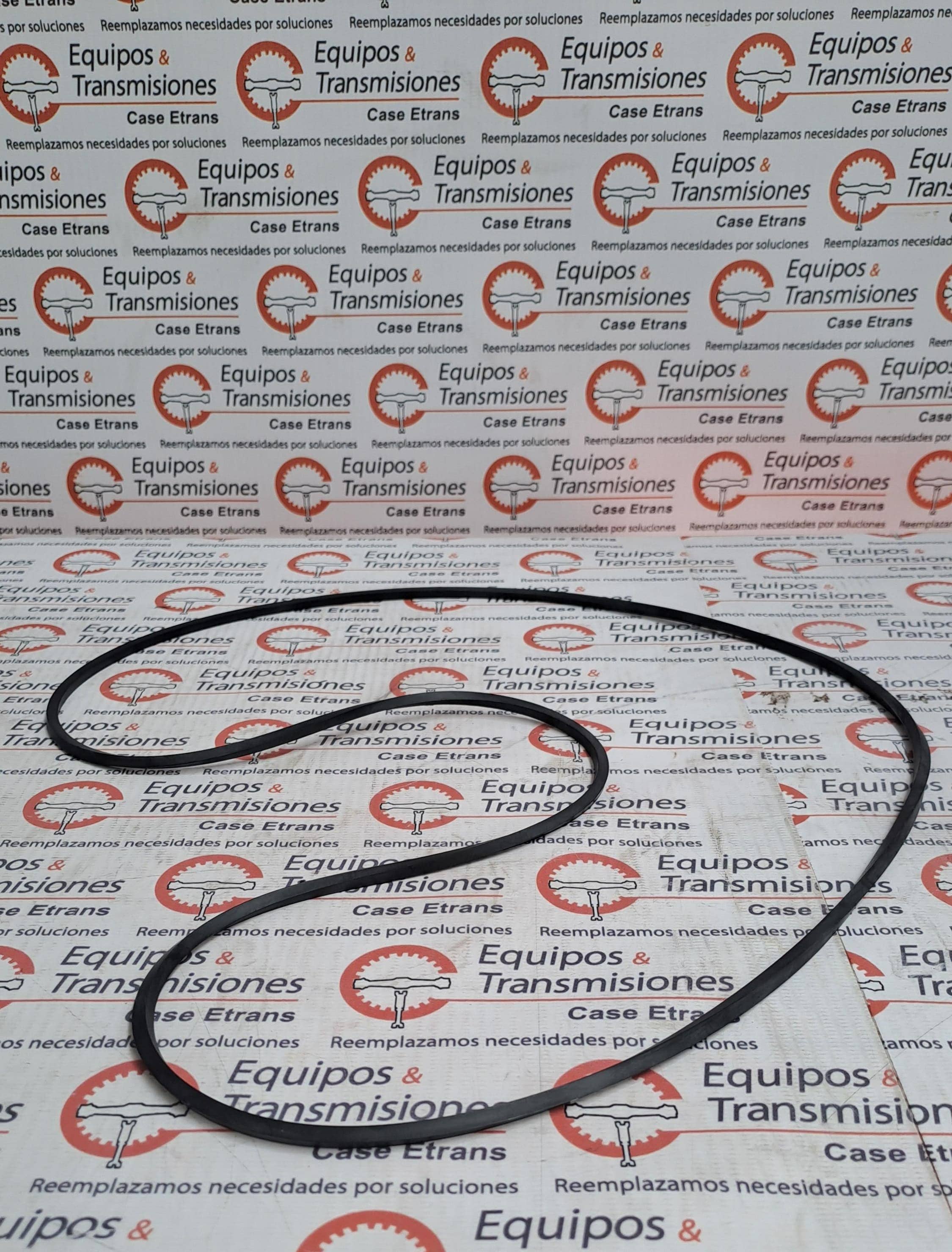 Oring Plano Dana Spicer