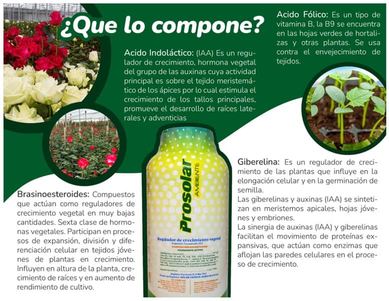 PROSOLAR AMBIENTE: " Regulador de crecimiento vegetal "