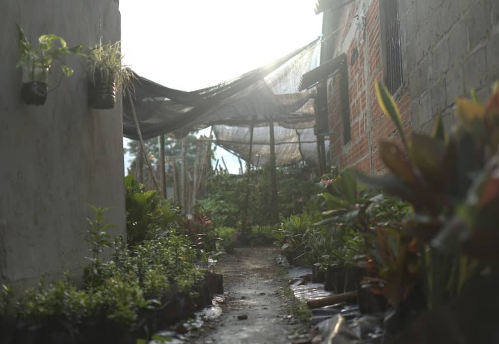 Captura de pantalla 2024-12-20 095911.png