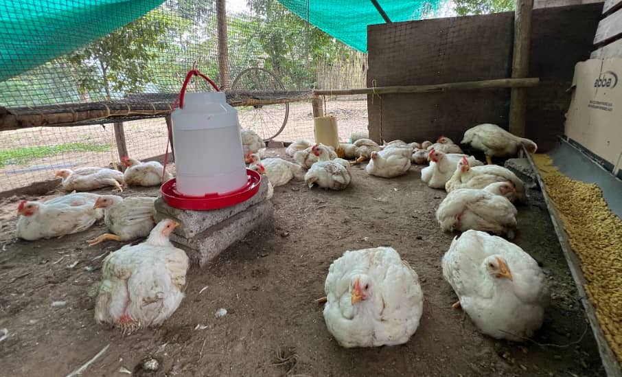 Captura de pantalla 2024-12-10 174742.png