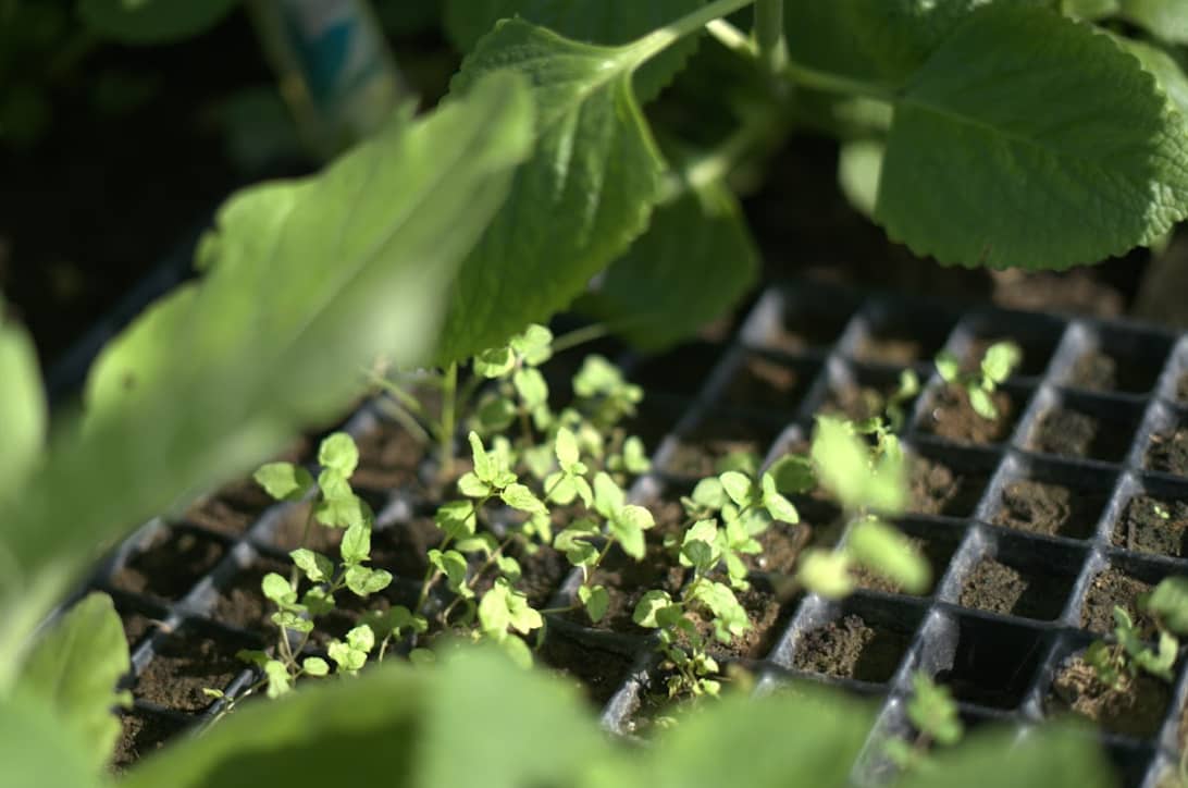 Captura de pantalla 2024-12-10 150212.png