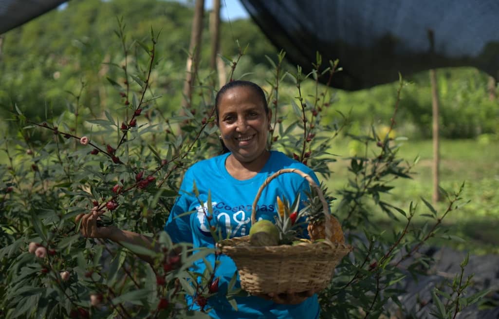 Captura de pantalla 2024-12-10 144705.png