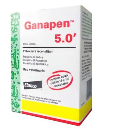 Ganapen 5.000.000 UI Elanco| Antibiótico inyectable de larga acción bovino