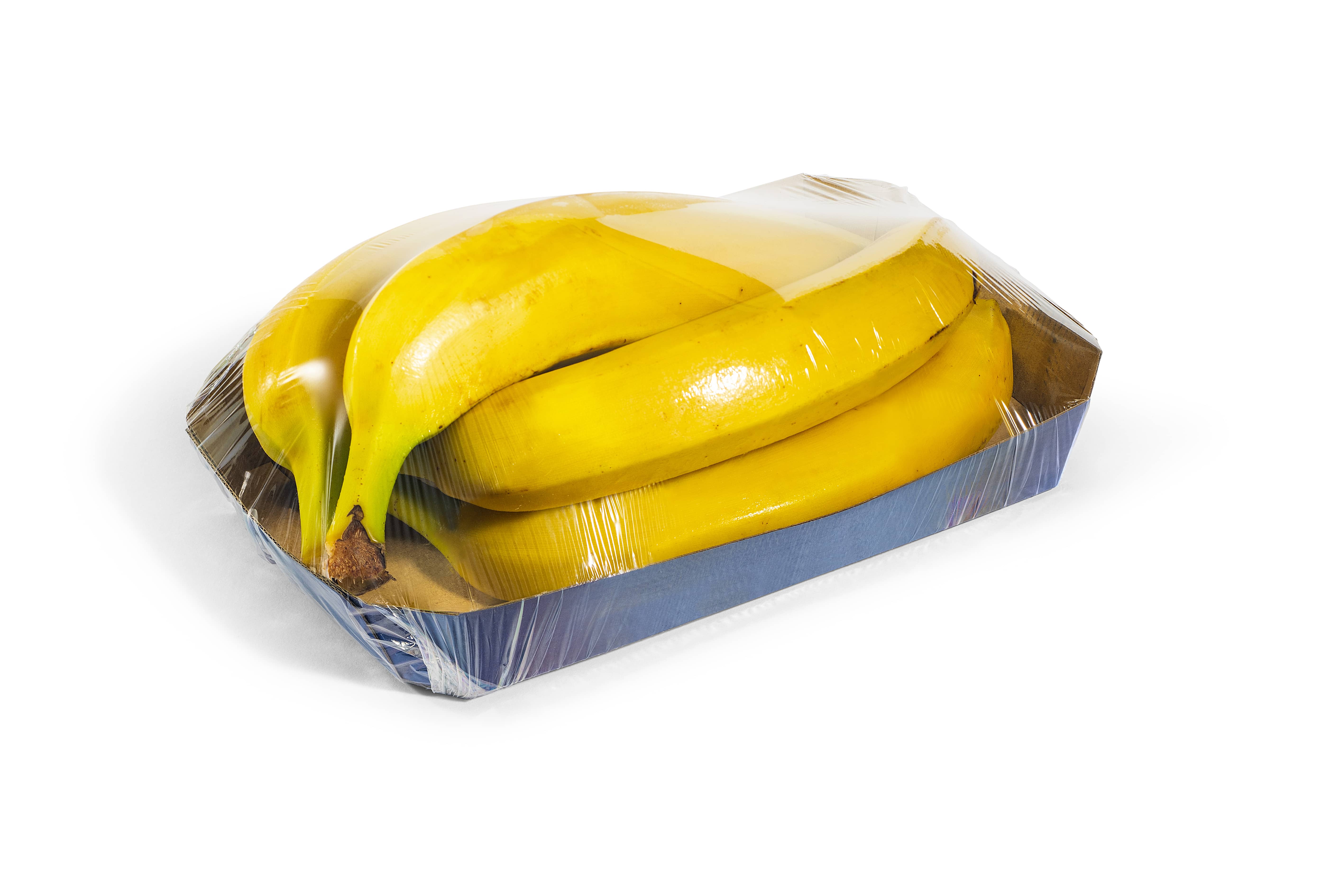 Elixa 24 empaquetadora stretch automática para alimentos frescos