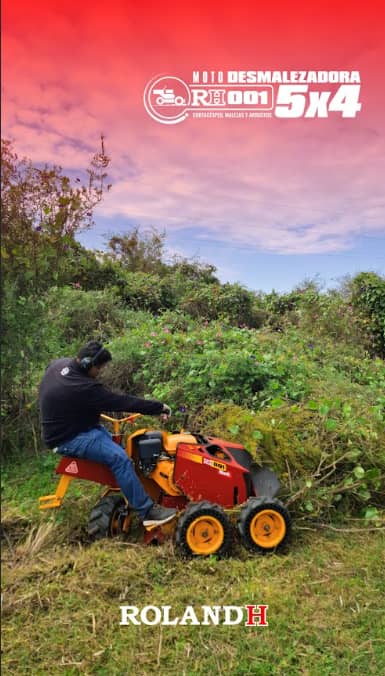 Desmalezadora Roland H001 5x4