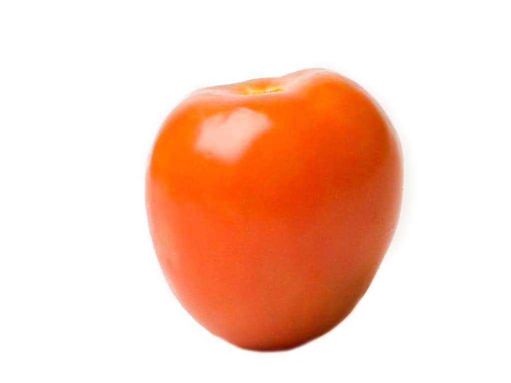 Semilla de Tomate Chonto Gem-604 F1