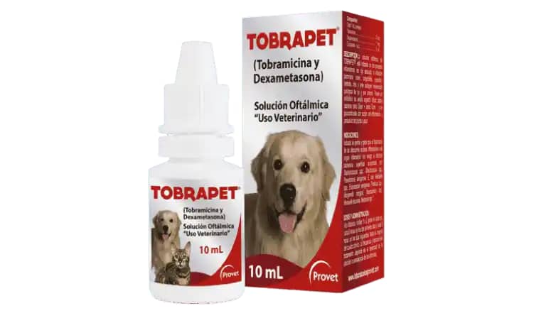 Antibiótico Tobrapet gotero x 10 Ml