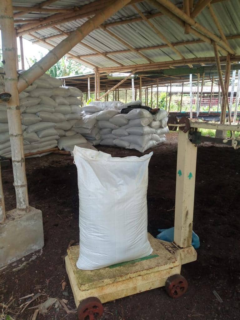 Jorge enrique Meneses tobar