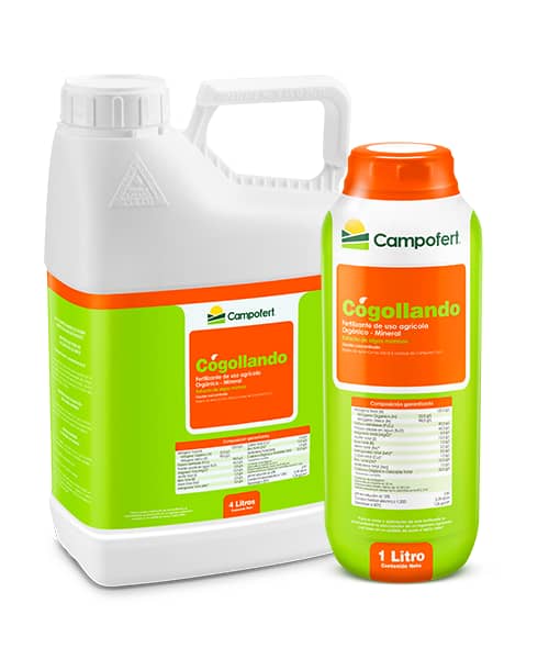 Cogollando 4 L Campofert | Fertilizante foliar balanceado