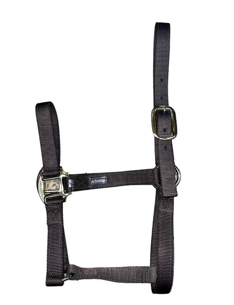 Jaquimón Reata para Potros de 6 a 15 Meses