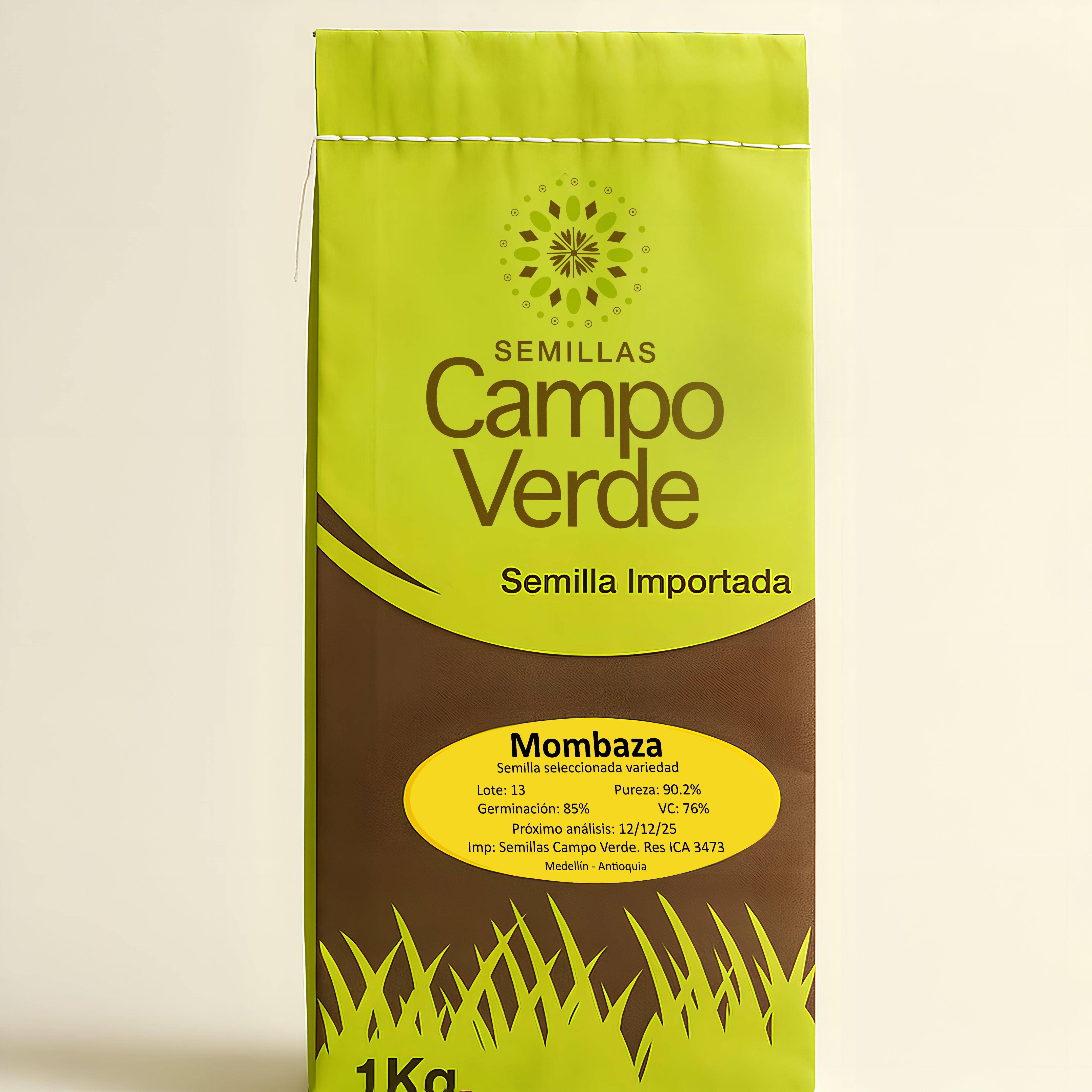 Semilla de pasto Panicum Mombaza – Pureza 90,2% – VC 76% – Importada de Brasil