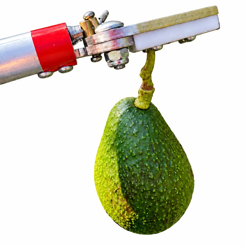 Tijera Cosechadora y Podadora de Altura 2.5 m | Corte y Recolección de Frutas